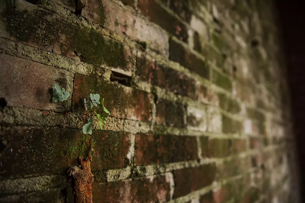 Image: Haunting Photos From Inside St. Louis' Long-Abandoned Eliot School