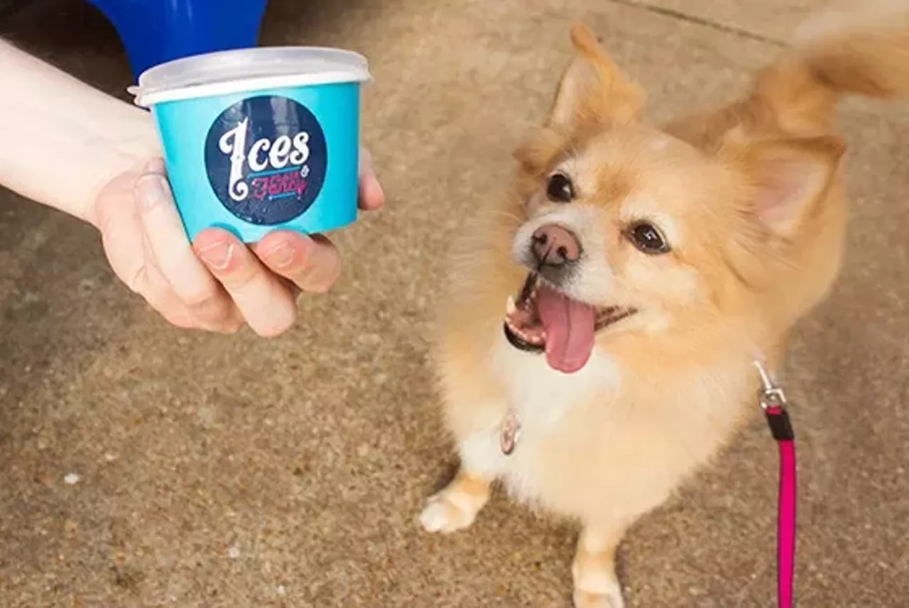 Ices Plain & Fancy (2256 South 39th Street, icesplainandfancy.com) If you're headed out to Ices Plain & Fancy, bring your little doggie along, too. They have a special dog ice cream there just for your pup and also a little patio on which you can enjoy your treats together.