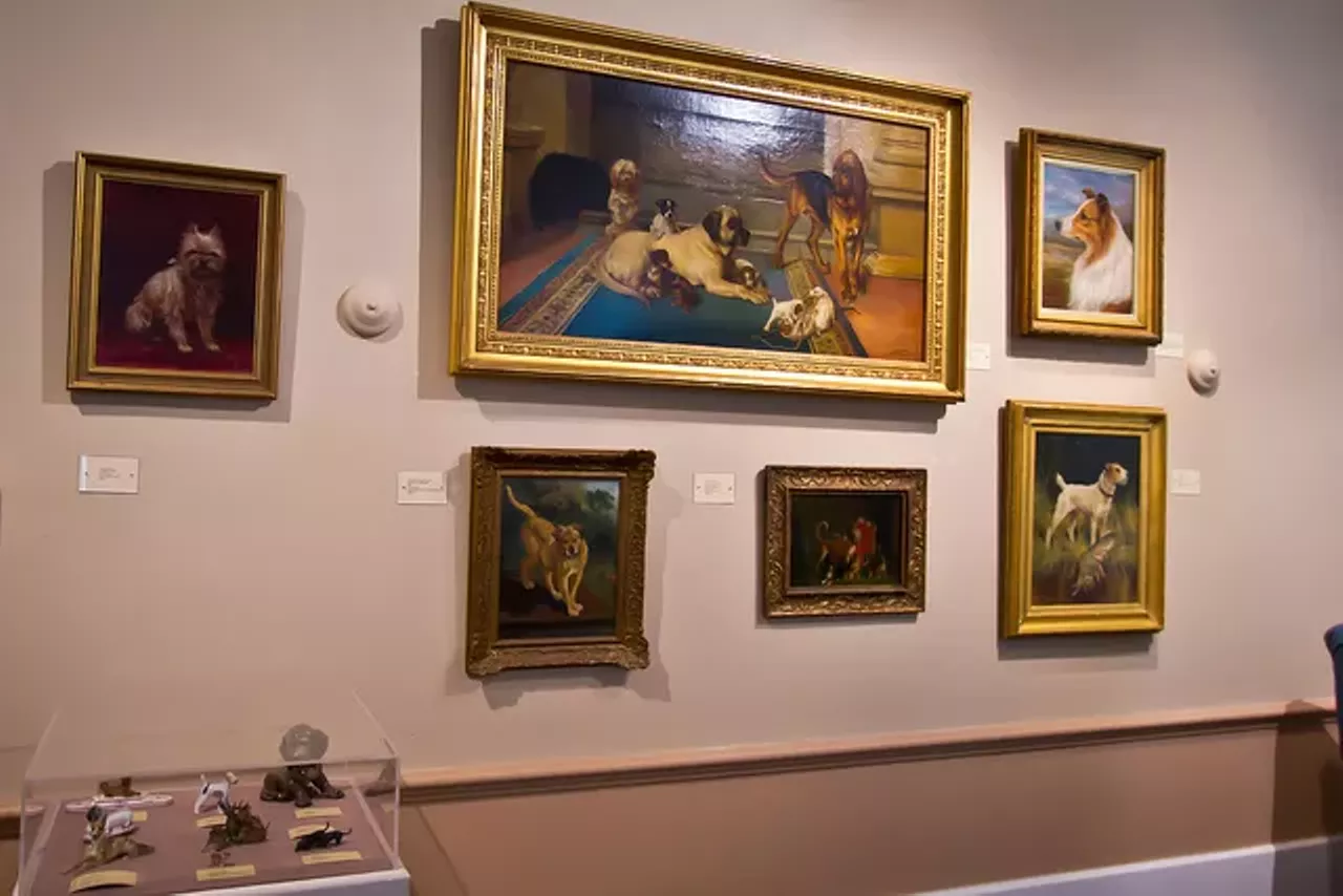 For a quirkier date, take your love interest to the Museum of the Dog. Don't be surprised if one of you wants to adopt a puppy afterward.Photo courtesy of Flickr / Missouri Division of Tourism