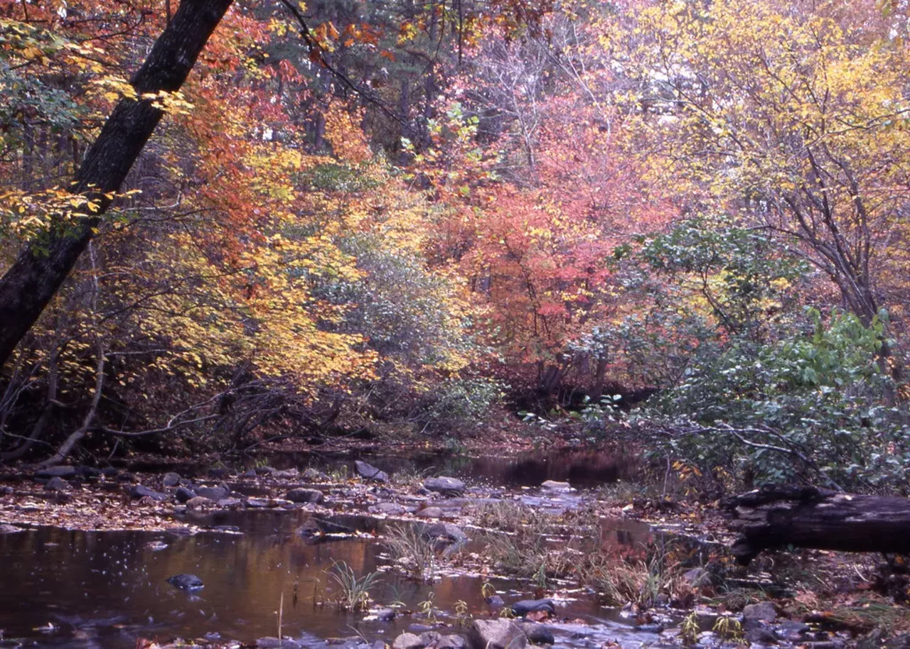 We recommend you hike to the Whispering Pines Wild Area via Pickle Creek. While the Whispering Pines Trail at Hawn State Park isn't easy, the scenery is extremely difficult to match. Awesome rock formations, creeks, old forests and more await -- making the trek more than worth it.