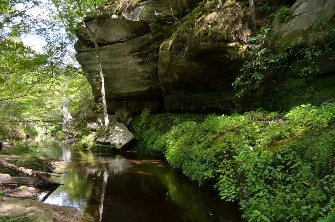 Bird watchers and geology lovers are fans of Hawn State Park, and we can personally vouch for the Whispering Pines Trail for the experienced hikers out there. Basic, electric and walk-in campsites are available when you just can't squeeze it all into a single day. Photo courtesy of Instagram / kelseylynnw1.