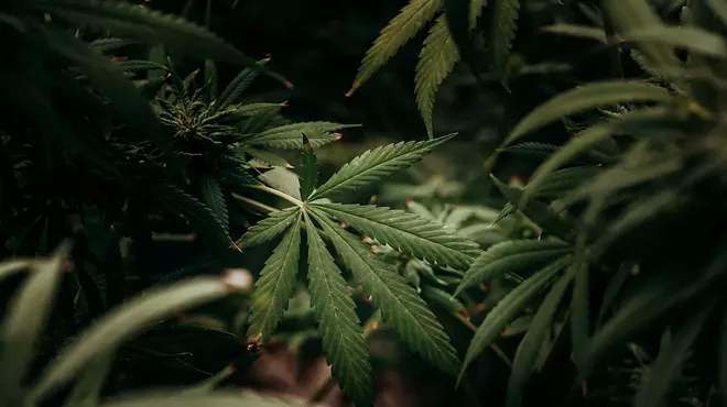 Funds from the state's medical and recreational cannabis program are benefiting the Missouri Veteran's Commission.