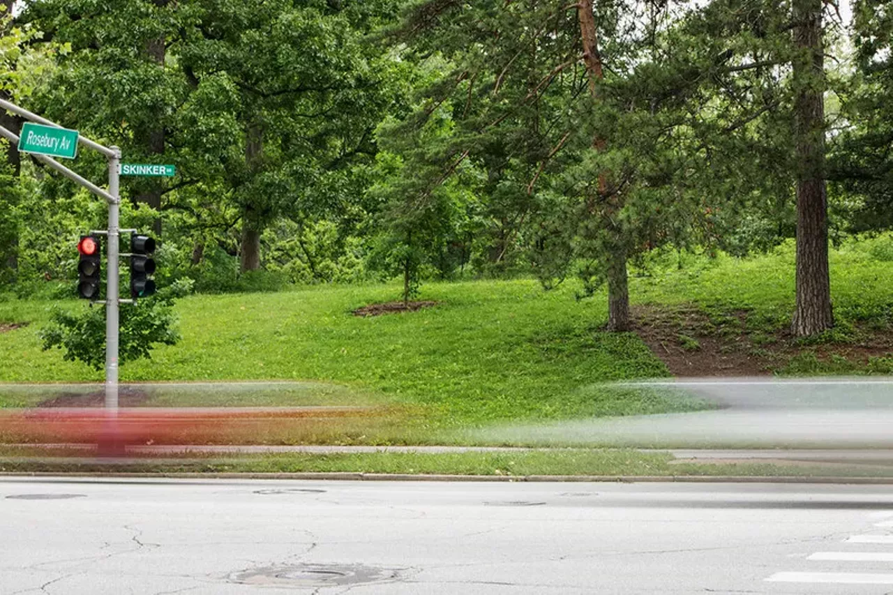 Forest Park across Skinker