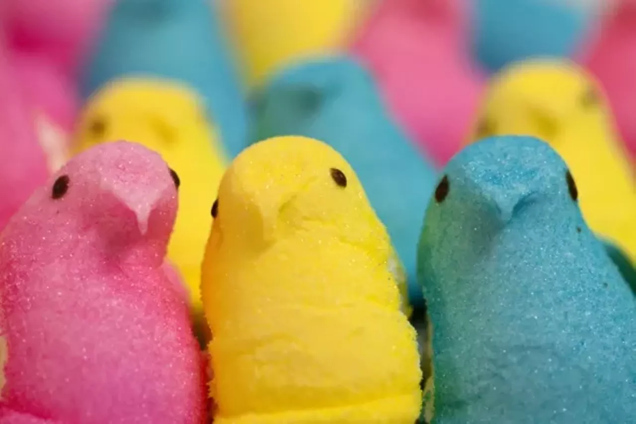 The Worst Peeps Given the amount of bandwidth devoted to dressing up Peeps in tiny costumes, one would think that a significant portion of the population loves this borderline-toxic mutation of the noble marshmallow. Gut Check, however, isn't buying the sugarcoated hype. For our money, Peeps hardly resemble baby chicks or bunnies; they more closely resemble what we imagine unicorn poop would look like. Even the name of the manufacturer, Just Born, gives us the creeps. Somewhat inexplicably (and frequently against our will), Gut Check possesses a powerful waste-not-want-not ethos when it comes to food. When faced with problematic substances, we tend to employ the venerable "bury the peas in the mashed potatoes" strategy. This explains why we dug a graham cracker out of the cupboard, diced some good dark chocolate and sprinkled it on, topped it off with a Peep and popped it in the microwave. The resulting s'more wasn't too bad, but the best part was watching the microwave radiation batter the Peep into submission. The process of puff, coil, writhe and die seemed a fitting fate.
