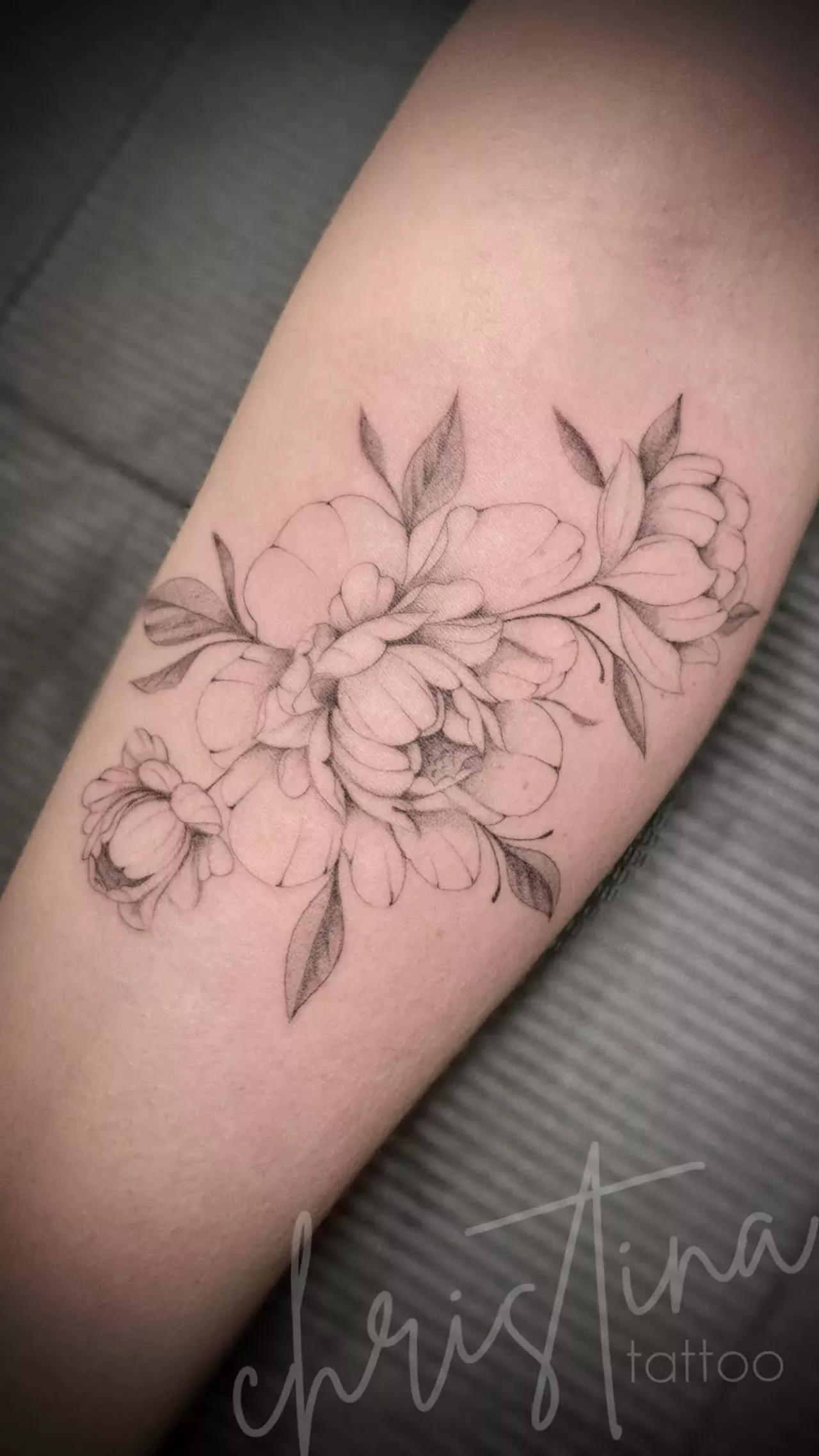 Christina's previous work.