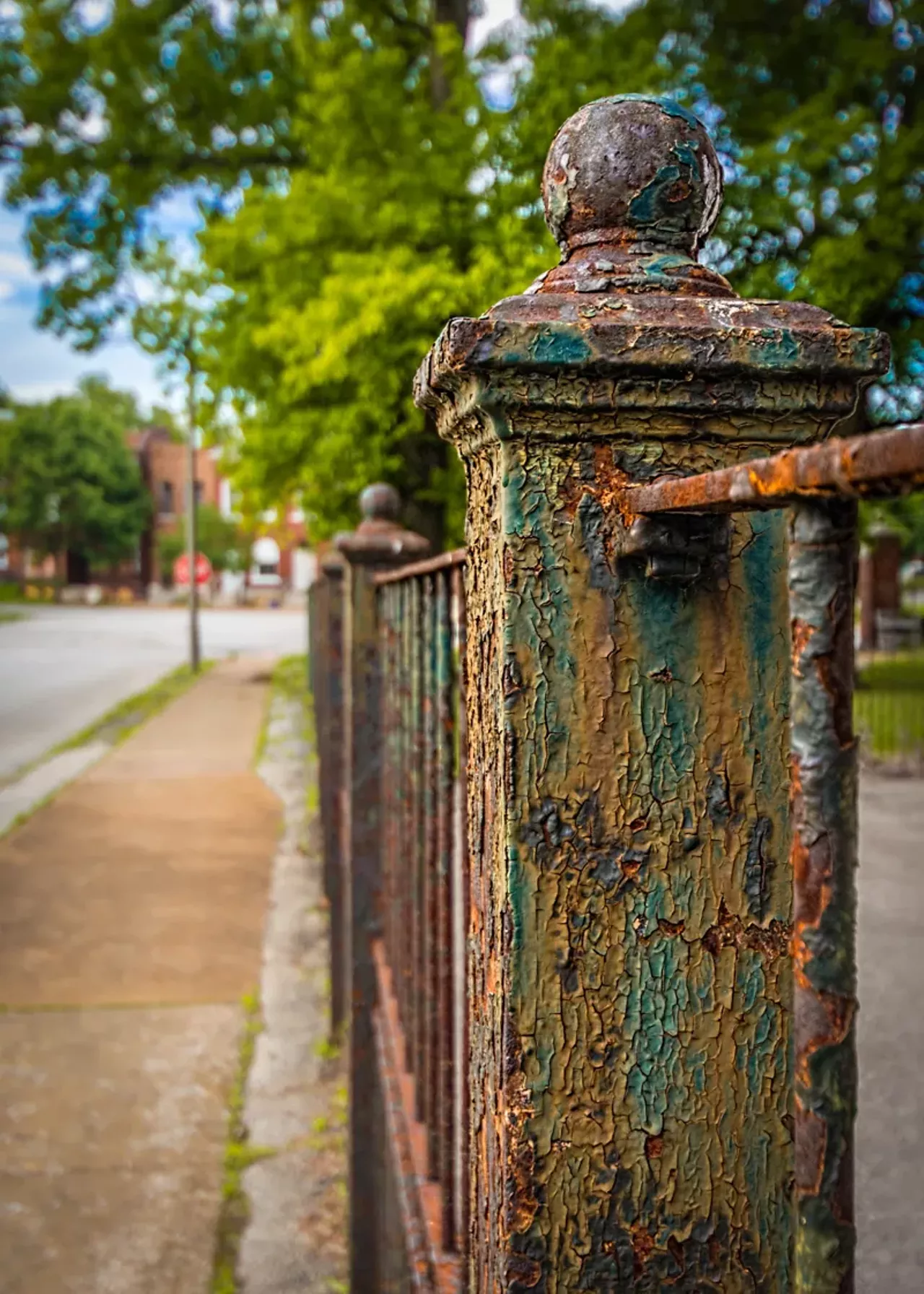 Title: Patine School: Eliot Photographer: Dave Adams