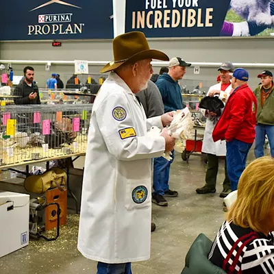Image: Pigeon Fanciers Came to Roost in St. Louis — and Cool Birds, Too