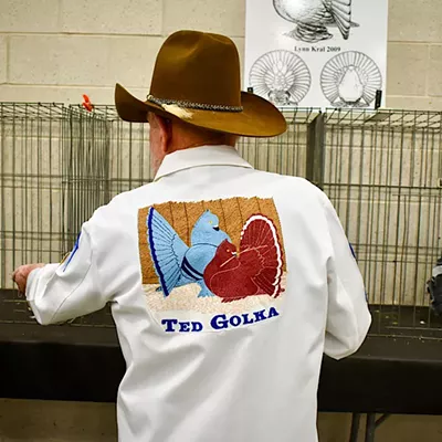 Image: Pigeon Fanciers Came to Roost in St. Louis — and Cool Birds, Too