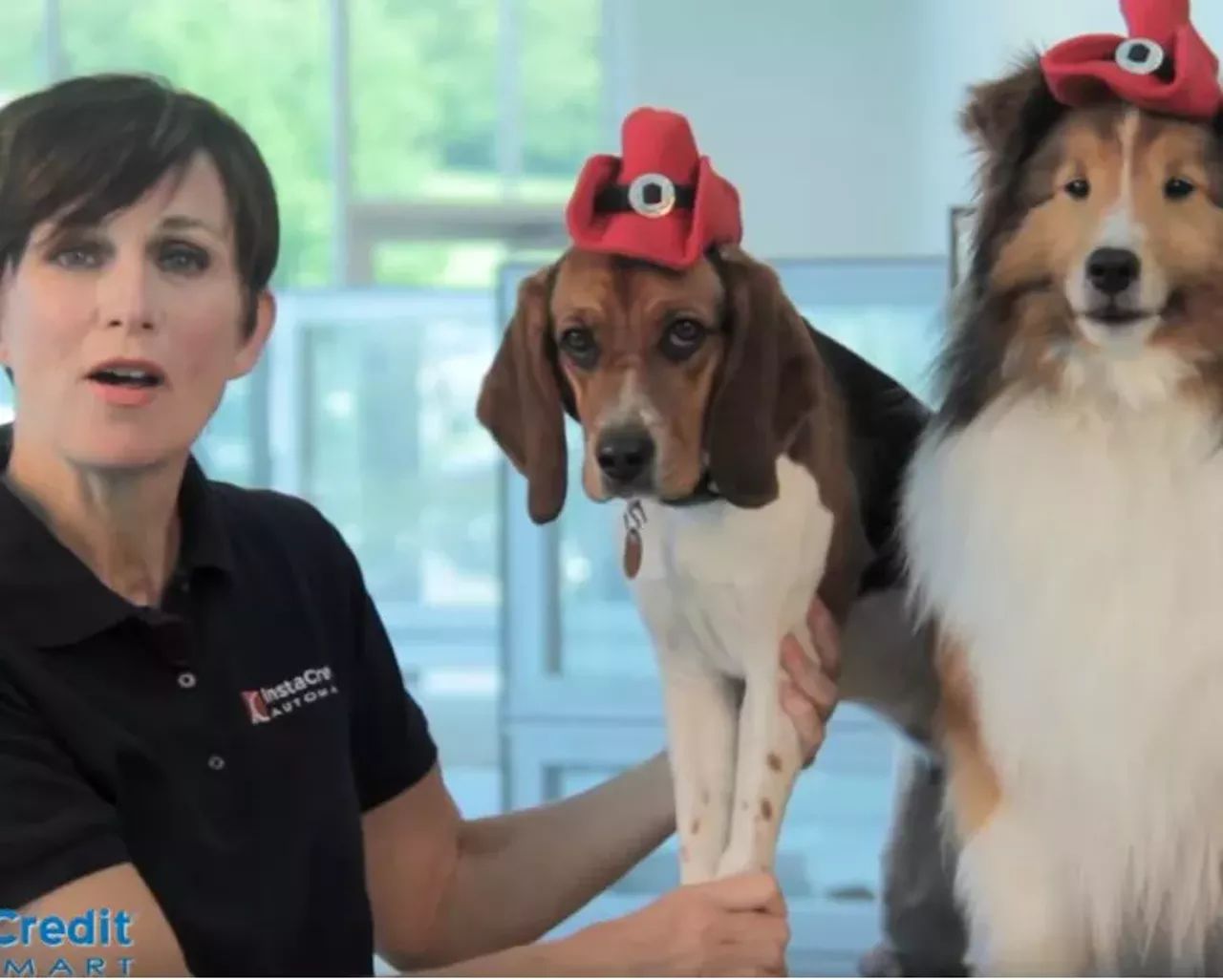 InstaCredit AutoMart Ah, the Buckley Dynasty. Buckley was a dog who helped this chipper lady hook up your car credit. Buckley eventually passed, but the InstaCredit AutoMart lineage lives on. Check out Lulu and Punkey Ray. Photo courtesy of YouTube