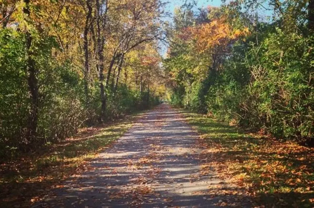 Madison County Transit Trails Madison County, IL Estimated drive time: 40 minutes (Parking options here.) If you're looking for more of a leisurely stroll or outdoor exercise instead of a risky thrill, try the Madison County Transit Trails. They're paved, very well-kept and extend throughout the entire county. For those who want to venture a bit deeper into the woods, you'll find an occasional clearing off the main path to explore. Photo courtesy of Instagram / kayla_r_bartz.