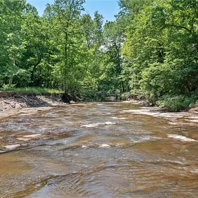 Image: This Ozarks Castle Was Built as Survivalist's Bunker [PHOTOS]